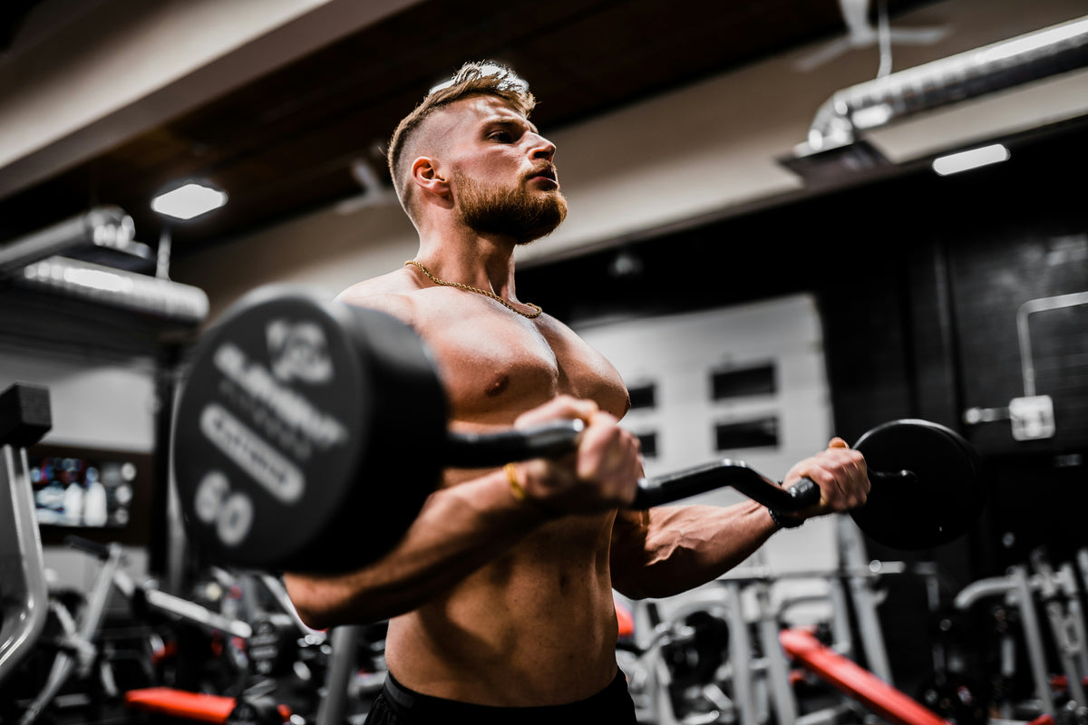 MUSCULATION